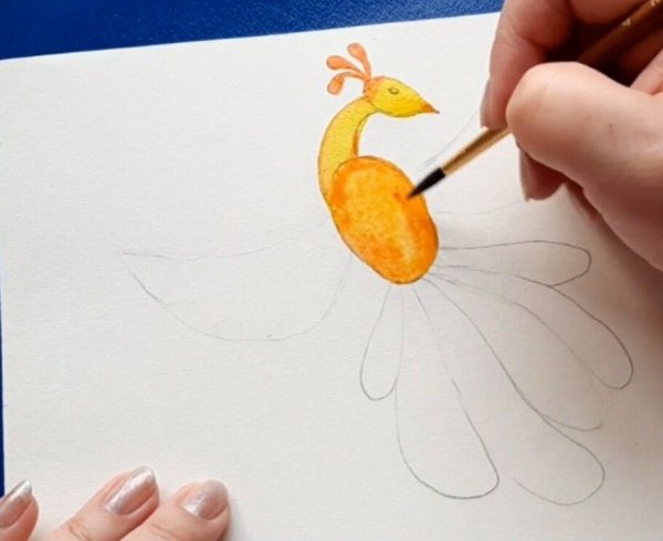 Жар птица рисунок раскраска