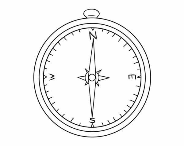 Компасная картушка