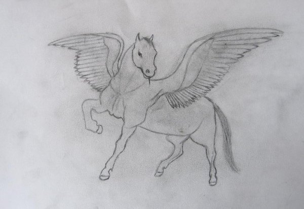 Схема рисования Пегаса