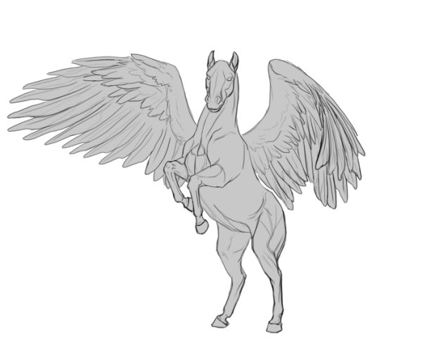 Пегас для срисовки