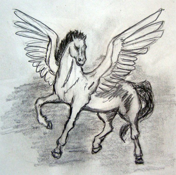 Пегас рисунок