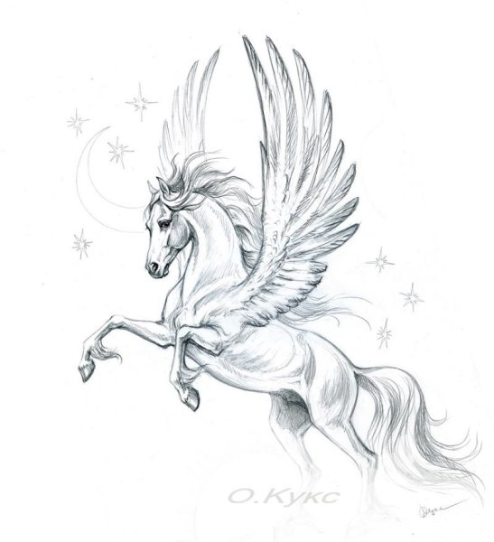 Пегас карандашом