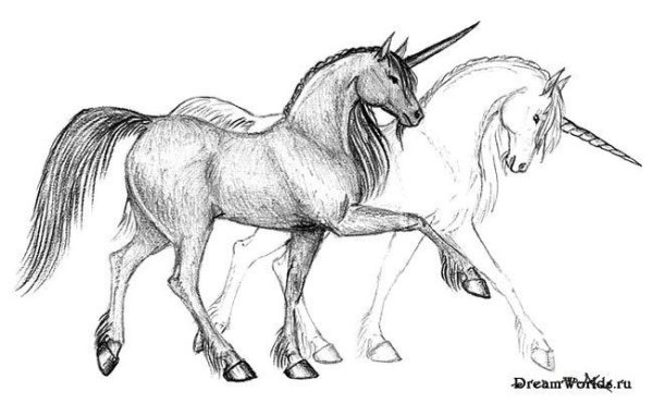 Рисунки единорогов и пегасов карандашом