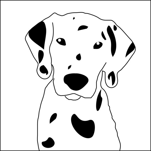 Далматинец мордочка