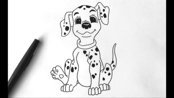 Рисунки для срисовки далматинец