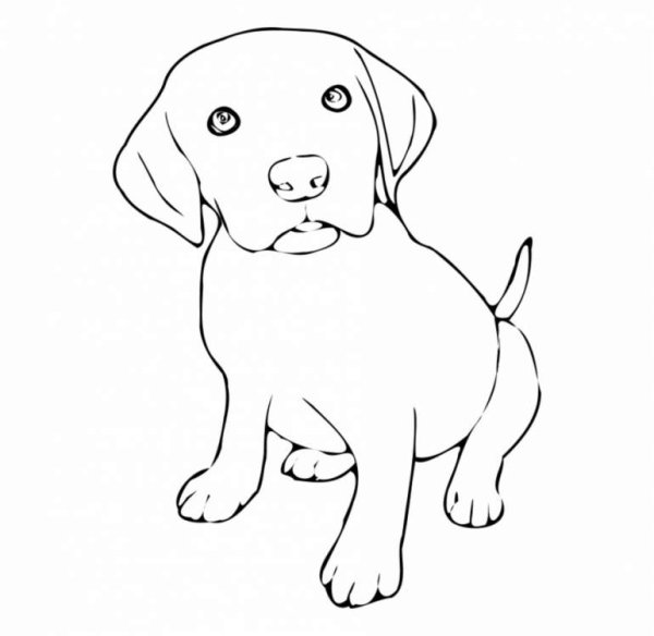 Рисунок собаки для срисовки