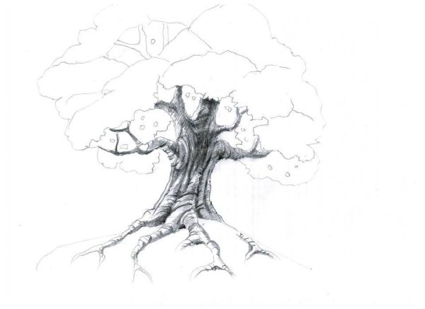 Дуб карандашом