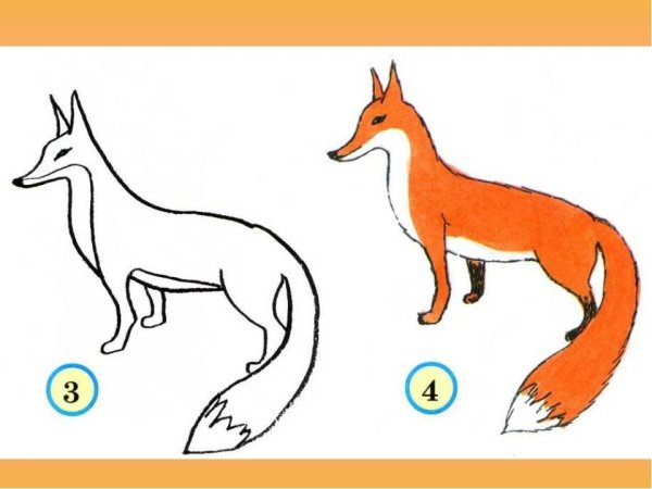 Раскраска Лисенок