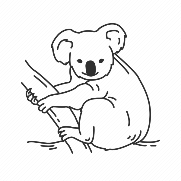 Рисование коала