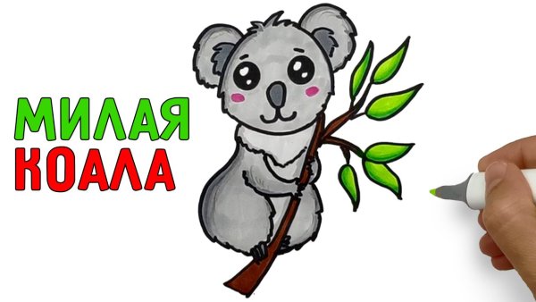 Пошаговый рисунок коалы для детей