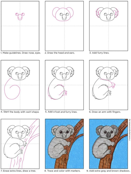 Милые коалы для срисовки