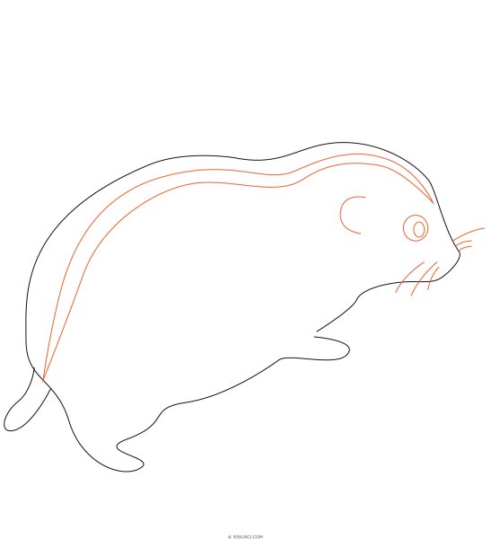 Лемминг раскраска