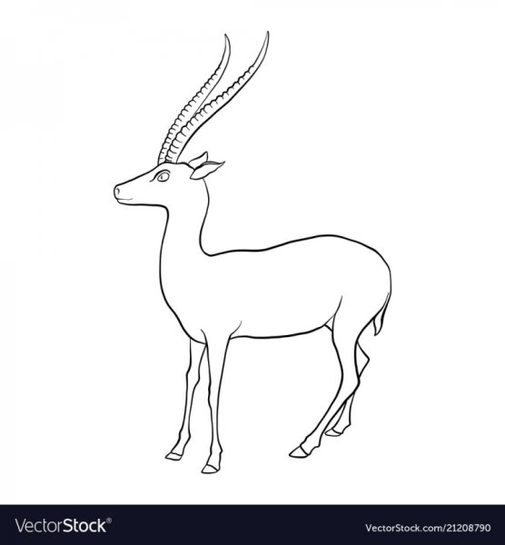 Антилопа рисунок легкий