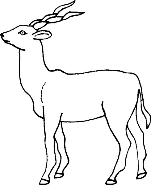 Антилопа контур