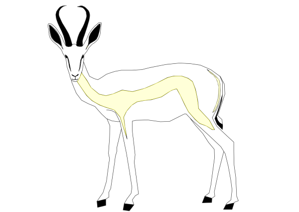 Антилопа Спрингбок