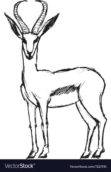 Джейран раскраска