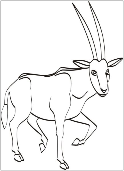 Антилопа раскраска