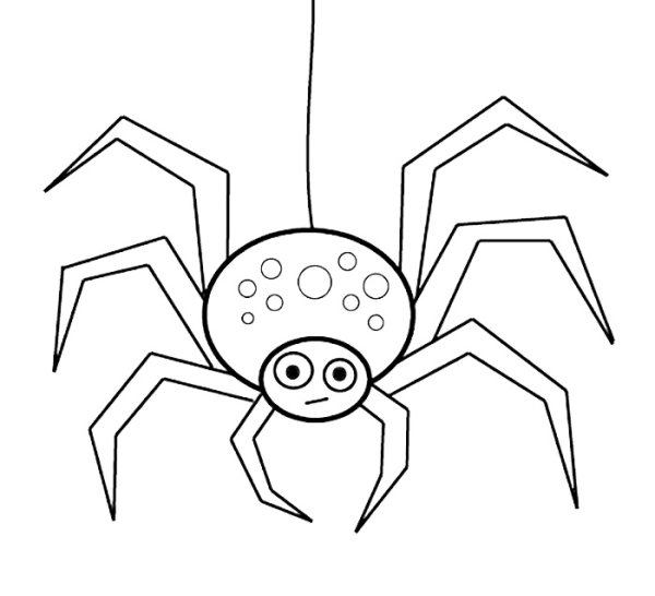 Паук рисунок легкий