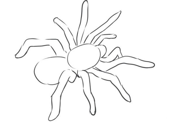 Паук карандашом