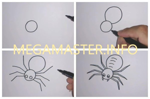 Нарисовать паука птицееда поэтапно