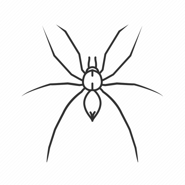 Паук крестовик нарисовать