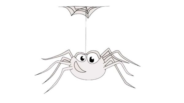 Тату паук легкий