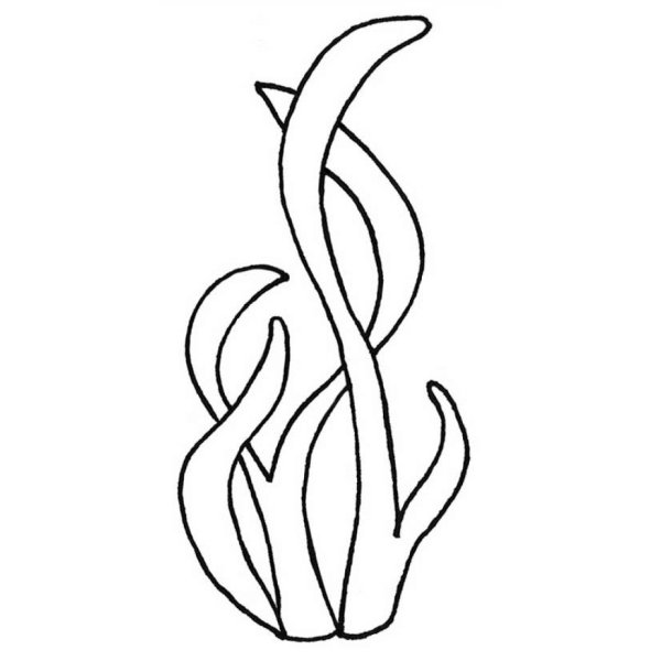 Водоросли трафарет