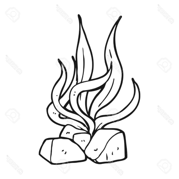 Водоросли эскиз