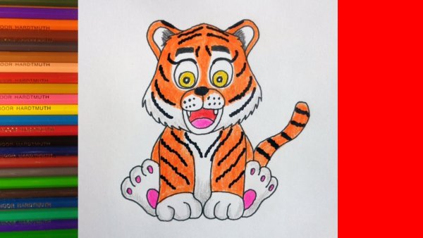 Рисуем тигренка поэтапно для детей