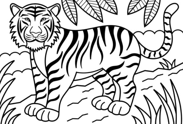 Тигр рисование для детей