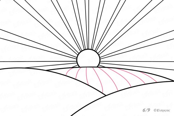 Раскраска поле