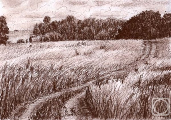 Поле карандашом