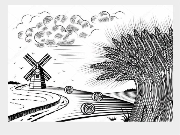 Мельница на пшеничном поле Графика