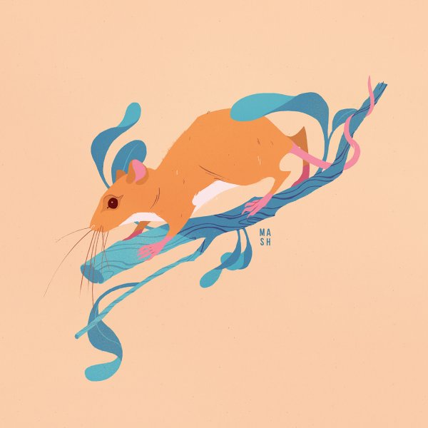 Стилизованная лиса