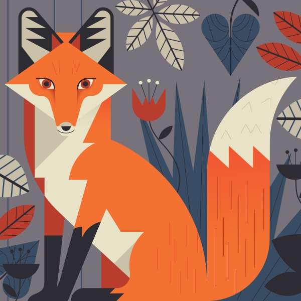 Иллюстрации Illustrator