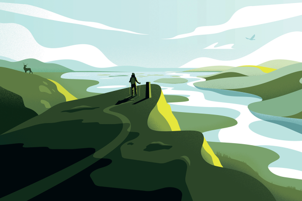 Девочка и Гусь