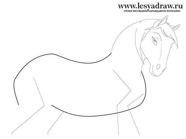 Лошадь карандашом