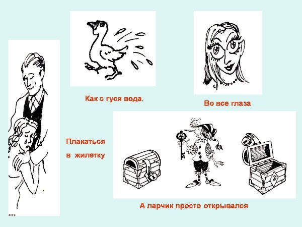 Кот наплакал фразеологизм