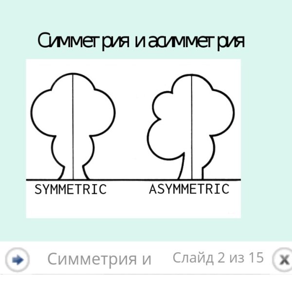 Симметрия и асимметрия рисунок