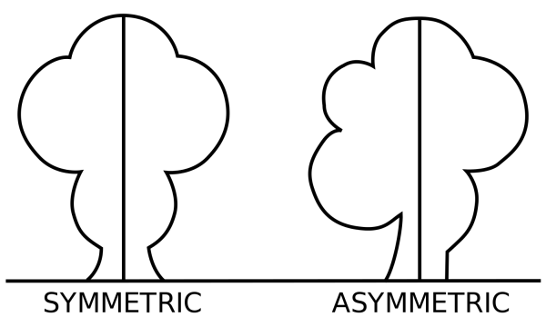 Симметрия и асимметрия