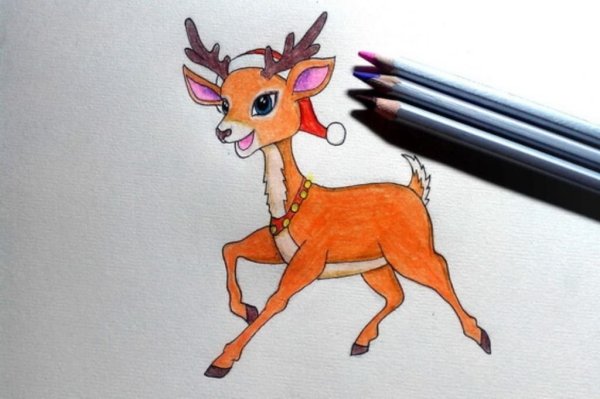 Олень для срисовки легкие