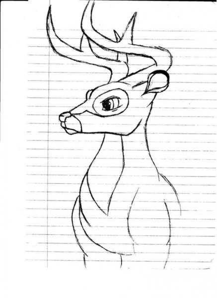Олененок раскраска для детей