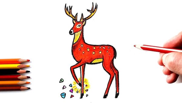 Рисунок оленя для срисовки легкие