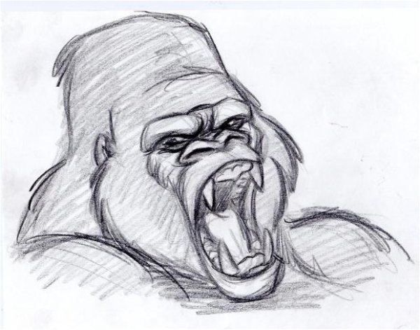 Горилла для срисовки