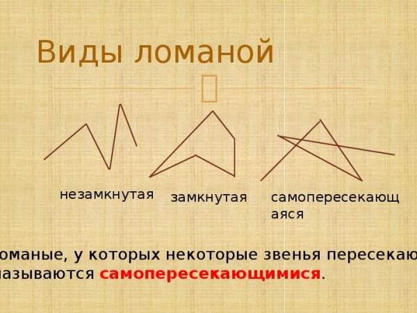 Виды ломаных линий