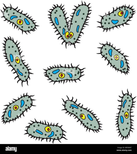 Нарисовать бактерии