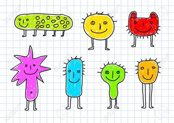 Микроб инфузория туфелька