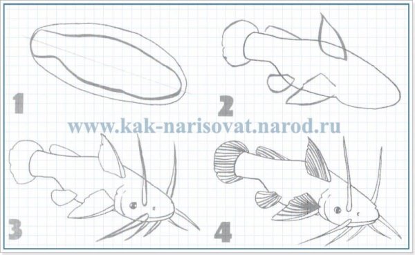 Рисунок легкий