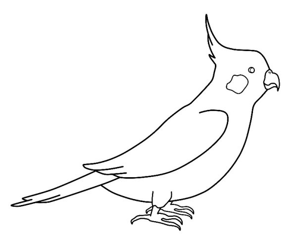 Трафарет птички синички для детей