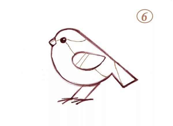 Пошаговое рисование птицы